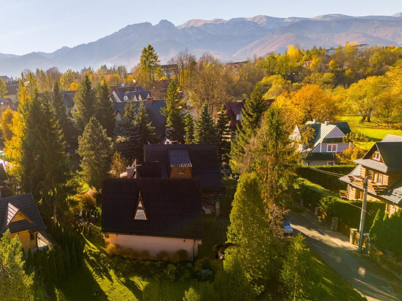 Domek Pod Strzecha Zakopane Exterior photo